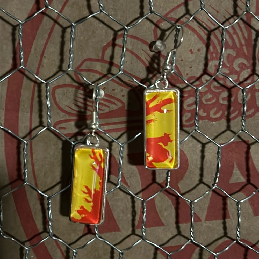 Trader Joe’s rectangular earrings